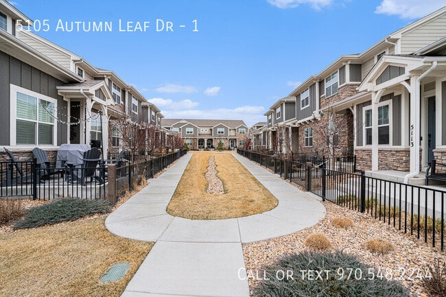 5105 Autumn Leaf Dr in Timnath, CO - Building Photo - Building Photo