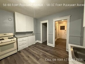 56-60-60 Fort Pleasant Ave in Springfield, MA - Building Photo - Building Photo
