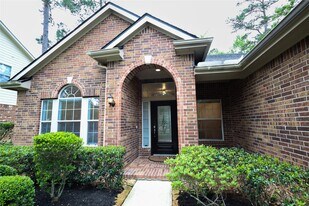 14 W Archwyck Cir in Spring, TX - Building Photo
