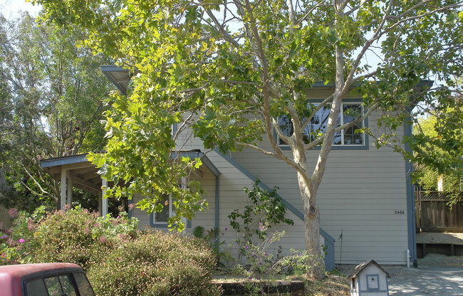 2466 Bella Vista Ave in Martinez, CA - Foto de edificio - Building Photo