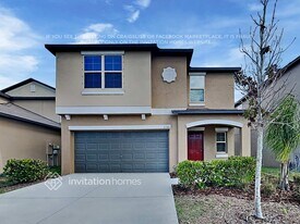 11260 Riley Pines Cir in Gibsonton, FL - Building Photo