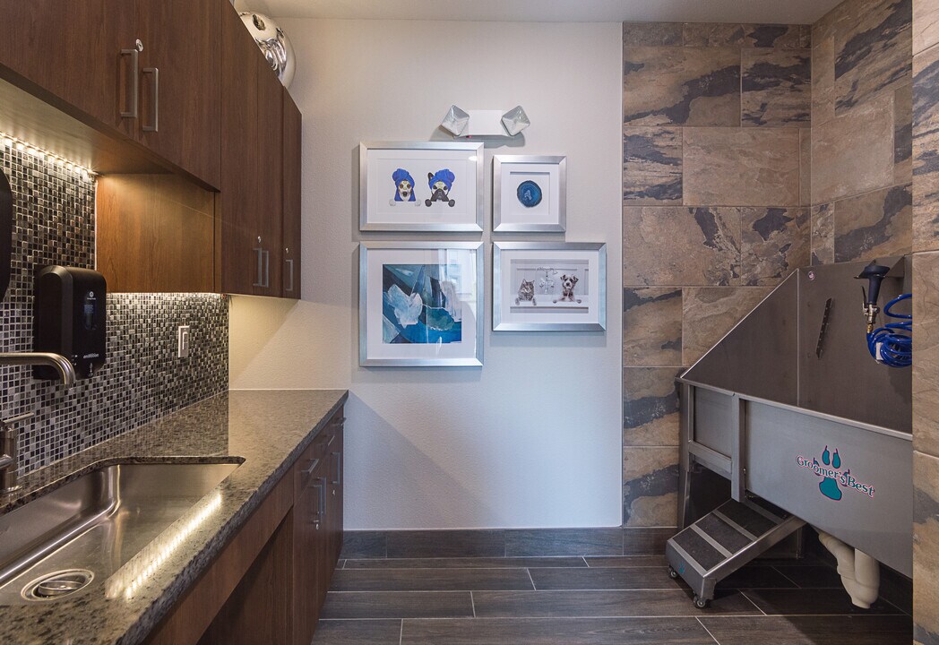 Overture Frisco 55+ Active Adult Apartment... Photo