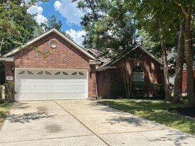 118 N Willow Point Cir in Spring, TX - Building Photo