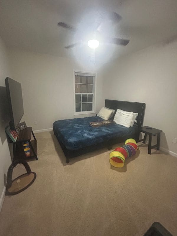 251 Margaret St in Fairburn, GA - Foto de edificio - Building Photo