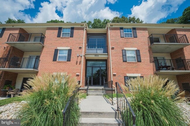 property at 803 College Ln