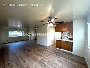 37040 Mulberry St in Newark, CA - Building Photo - Building Photo