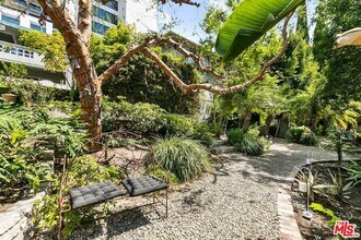 1323 N Olive Dr in West Hollywood, CA - Building Photo - Building Photo