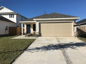 21618 Lemon Beebrush Ln in Katy, TX - Building Photo