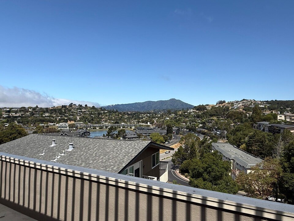 26 Andrew Dr in Tiburon, CA - Building Photo
