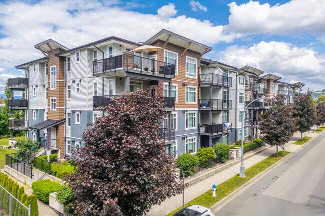 33259 Robertson Av in Abbotsford, BC - Building Photo - Primary Photo