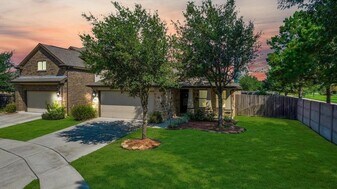 20502 S Blue Hyacinth Dr in Cypress, TX - Building Photo