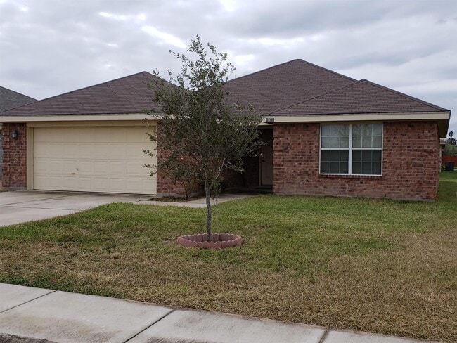1411 Tierra Del Sol Ave in Alamo, TX - Building Photo - Building Photo