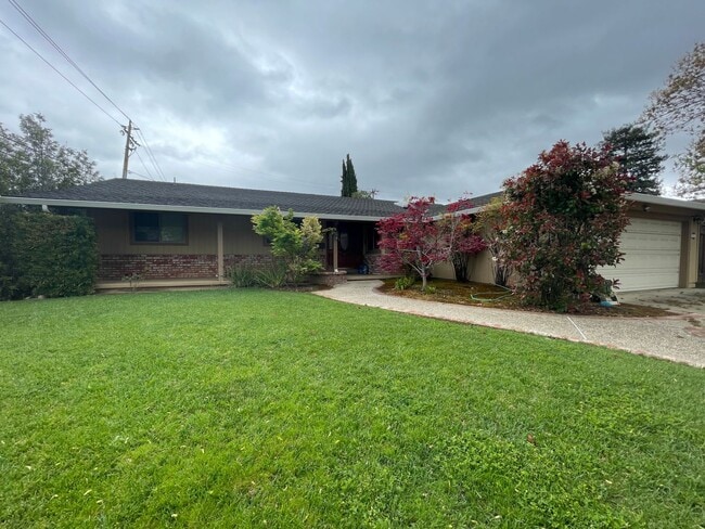 property at 1402 Newfoundland Dr