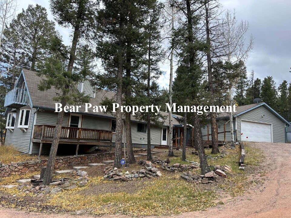 1205 Burland Dr in Bailey, CO - Building Photo