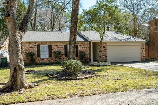 6 Basal Briar Ct in The Woodlands, TX - Building Photo - Building Photo