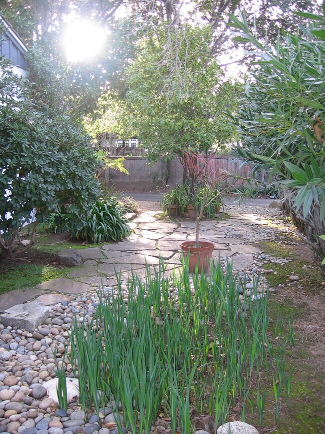 82 Hillview Ave in Los Altos, CA - Foto de edificio - Building Photo