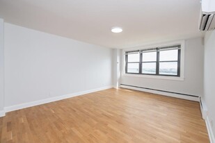 12 Winfield St, Unit 3 in Boston, MA - Building Photo - Building Photo