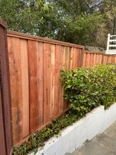 16320 Ridgecrest Ave in Monte Sereno, CA - Building Photo - Building Photo