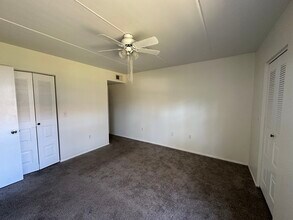 409 Meadow Ln in Oldsmar, FL - Building Photo - Building Photo