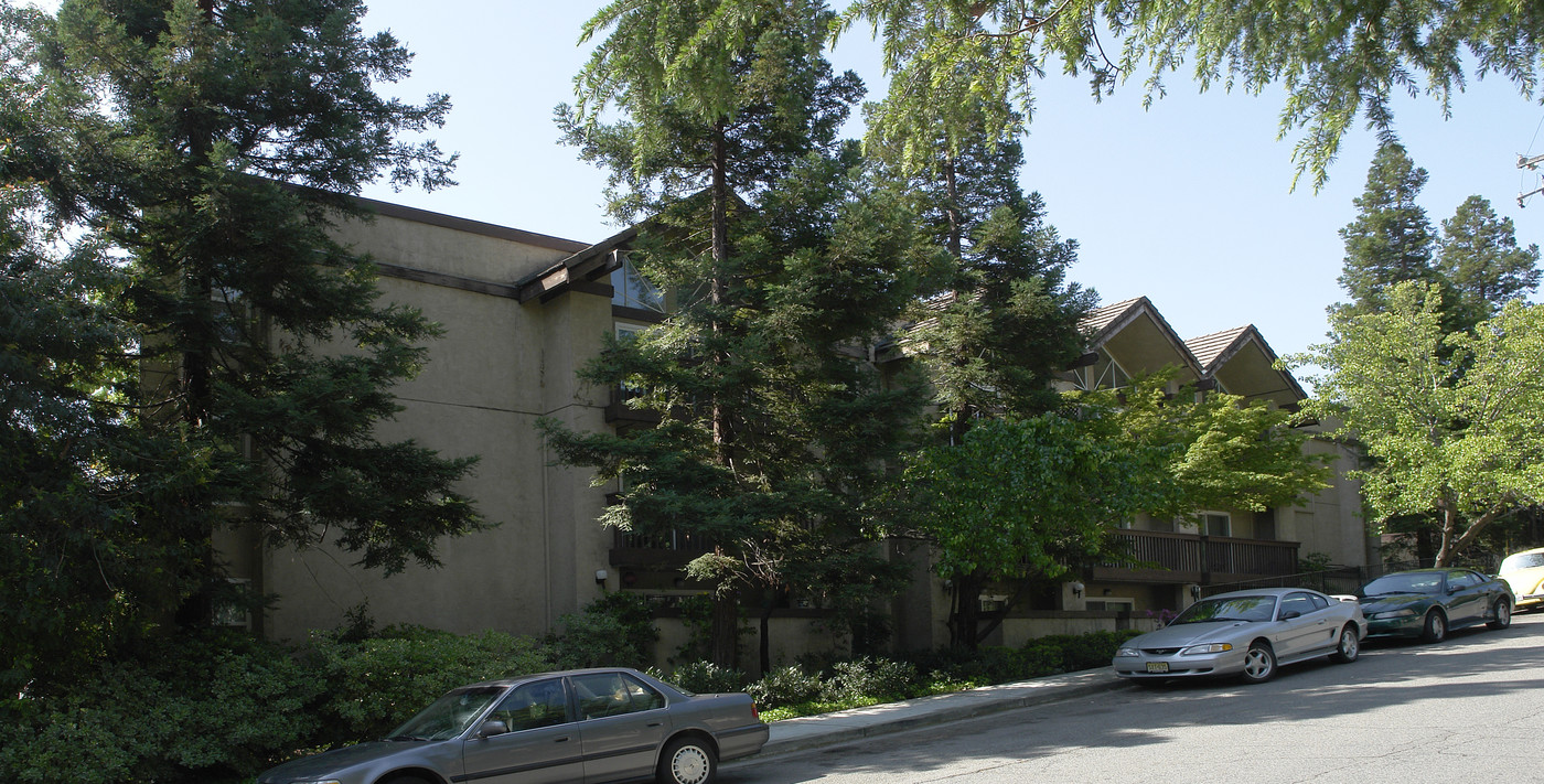 Creekside Court Apartments in Walnut Creek, CA - Building Photo