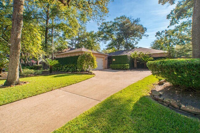 19 Lancelot Ln in Conroe, TX - Building Photo - Building Photo