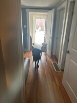 63 Haddon Ave, Unit 63 Haddon Ave #2 in Falmouth, MA - Building Photo