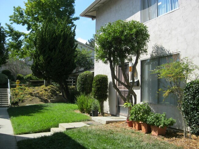 7782 Camino Glorita in San Diego, CA - Building Photo - Building Photo