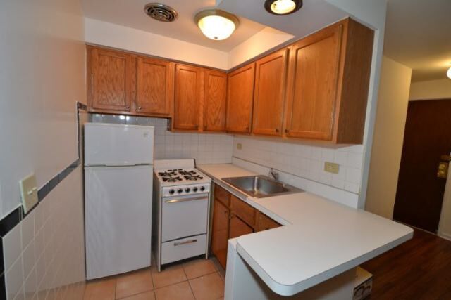 663 W Grace St in Chicago, IL - Building Photo - Building Photo