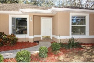 305 Garden Oak Ct in Apopka, FL - Building Photo