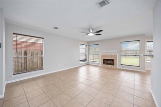 16710 Cheshire Pl Dr in Houston, TX - Building Photo - Building Photo
