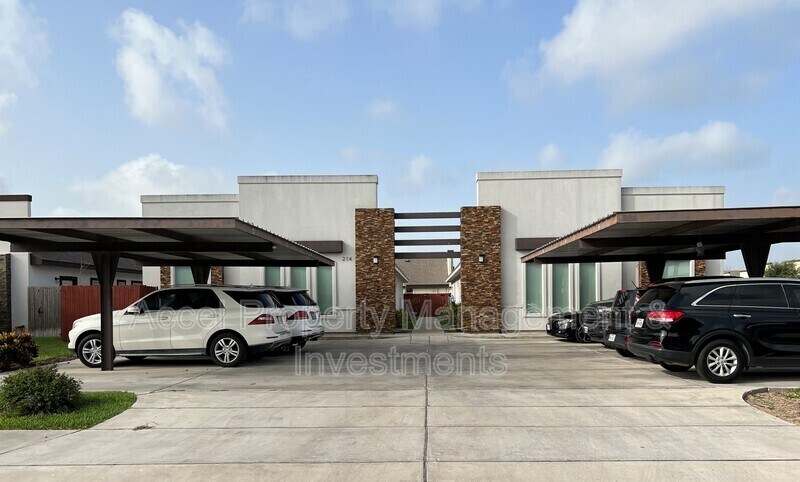 214 Fig Dr in Edinburg, TX - Foto de edificio