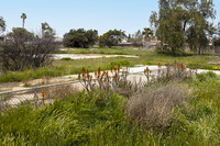 Casa Anita in Chula Vista, CA - Foto de edificio - Building Photo