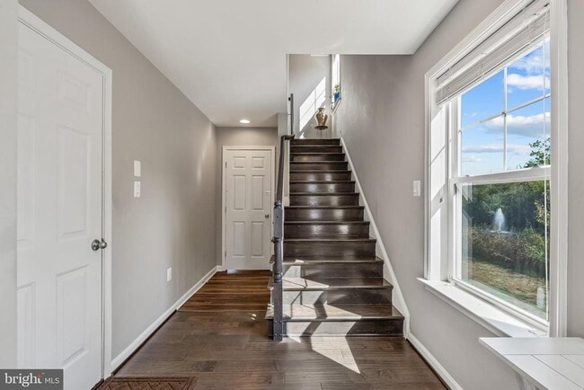 43596 Mirror Terrace in Ashburn, VA - Building Photo - Building Photo