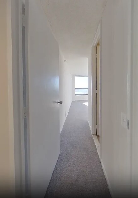 187 N Westshore Dr in Chicago, IL - Building Photo - Building Photo