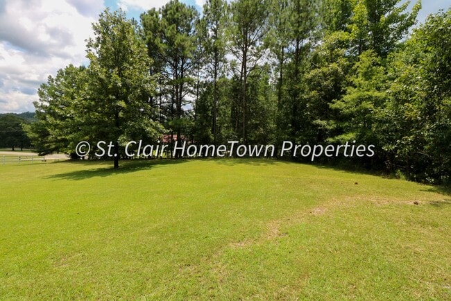 3591 Mountain View Rd in Odenville, AL - Building Photo - Building Photo