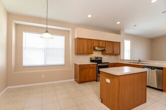 4551 Mapletree Loop in Wesley Chapel, FL - Foto de edificio - Building Photo