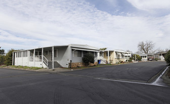 Silverado Pines Mobile Home Park Apartments