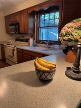 56 Tree Brook Dr in Rochester, NY - Building Photo - Building Photo