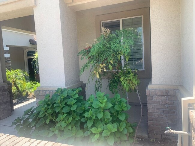 2187 Shady Creek Rd in Folsom, CA - Building Photo - Building Photo