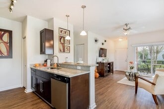 The Grand at Cypress Cove in Lutz, FL - Foto de edificio - Building Photo