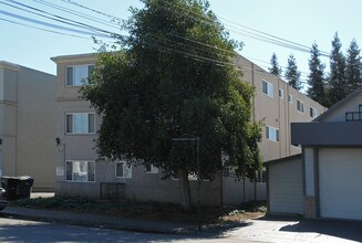 238 Albion Ave in San Lorenzo, CA - Foto de edificio - Building Photo