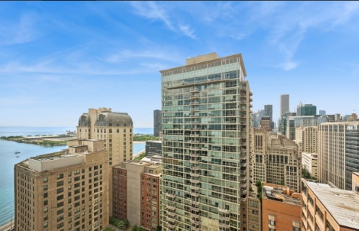 260 E Chestnut St in Chicago, IL - Building Photo - Building Photo