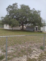8597 SE 126th Pl in Belleview, FL - Building Photo