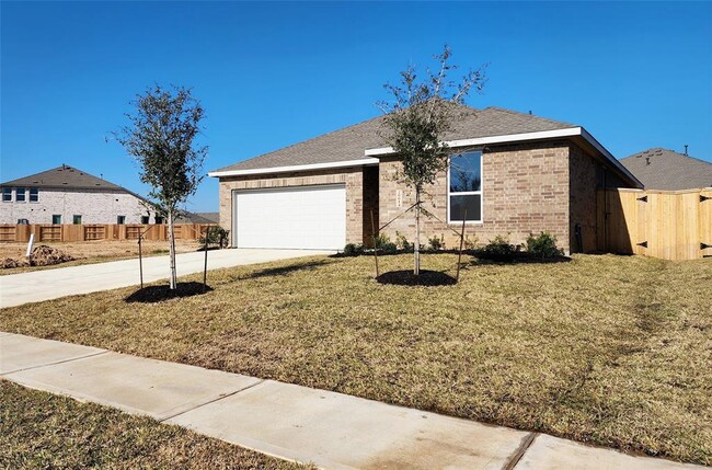 26614 Foxtail Fern Dr in Katy, TX - Building Photo - Building Photo