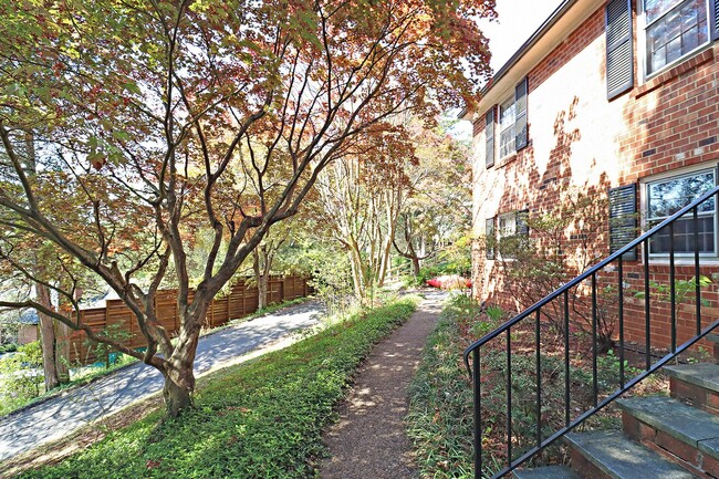 106 Marie Pl in Charlottesville, VA - Building Photo - Building Photo