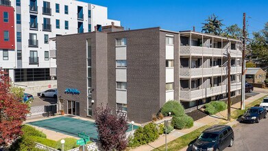 Dolphin in Denver, CO - Building Photo - Building Photo