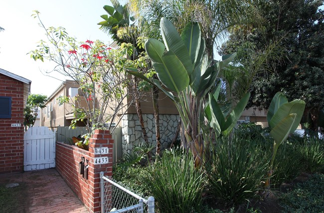 Mentone Street Apartments in San Diego, CA - Building Photo - Building Photo