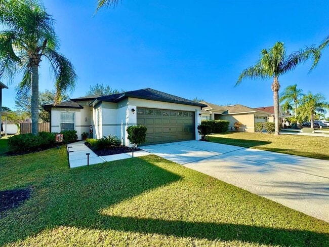 30912 Bridgegate Dr in Wesley Chapel, FL - Building Photo - Building Photo