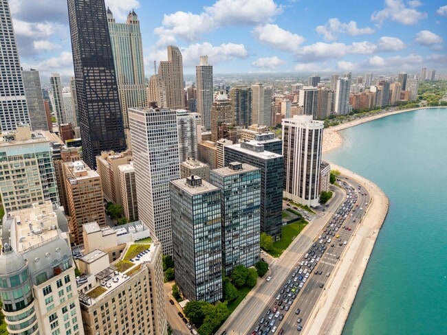 201 E Chestnut St, Unit 4d in Chicago, IL - Building Photo - Building Photo
