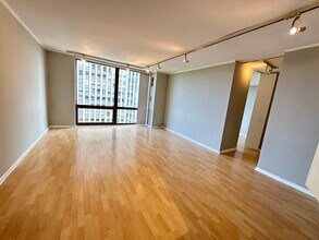 2650 N Lakeview Ave in Chicago, IL - Building Photo - Building Photo